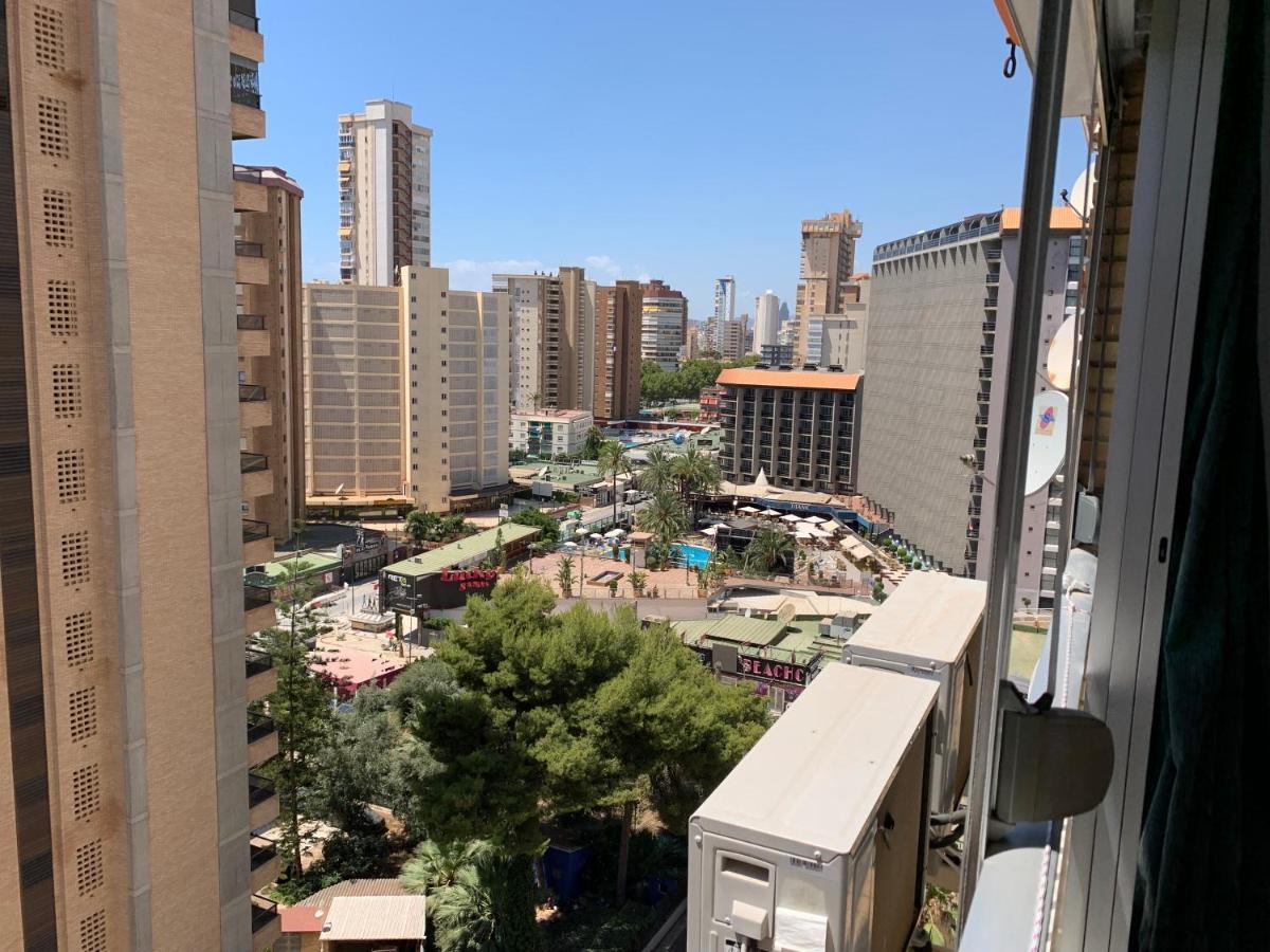 Karola Trg * Benidorm